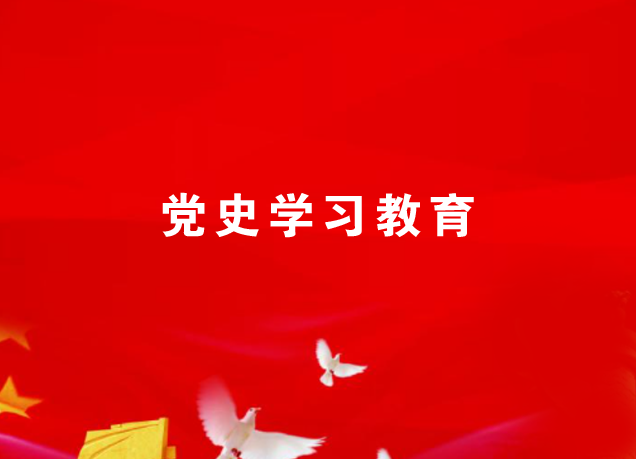 黨史學(xué)習(xí)教育